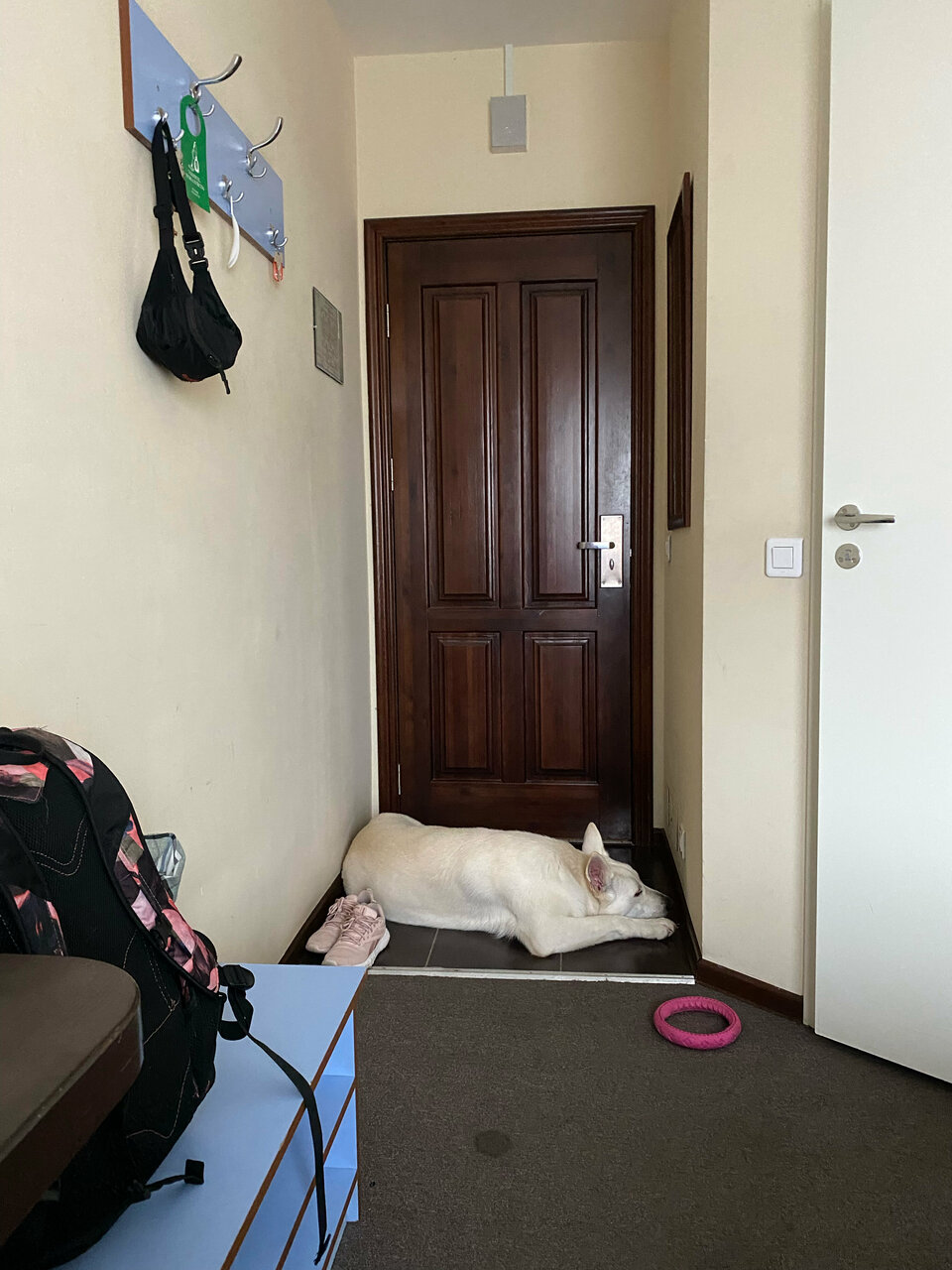 Гостиница Флогистон Санкт-Петербург-236