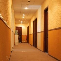 Гостиница Флогистон Санкт-Петербург-201