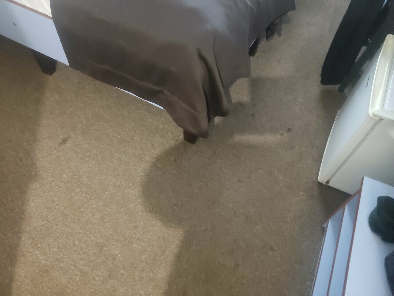 Гостиница Флогистон Санкт-Петербург-241