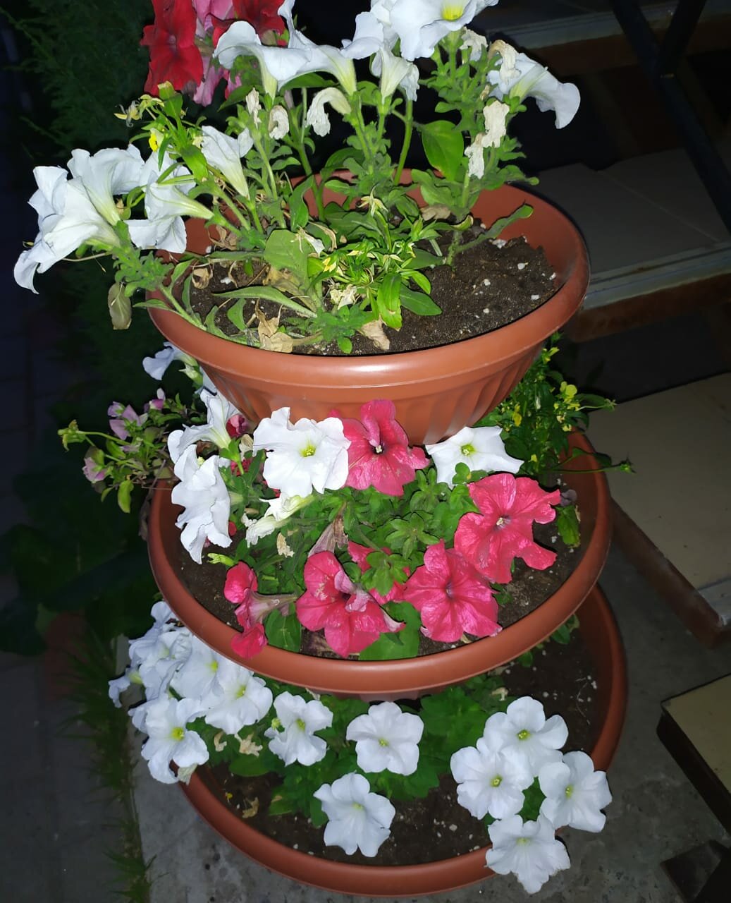 Гостиница Флогистон Санкт-Петербург-211