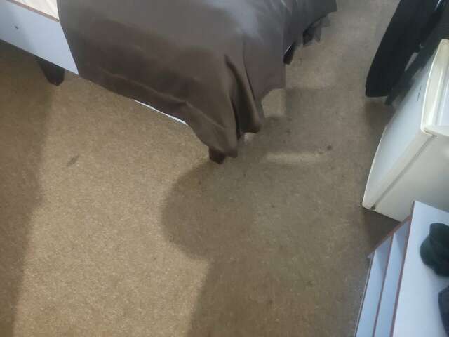 Гостиница Флогистон Санкт-Петербург-240