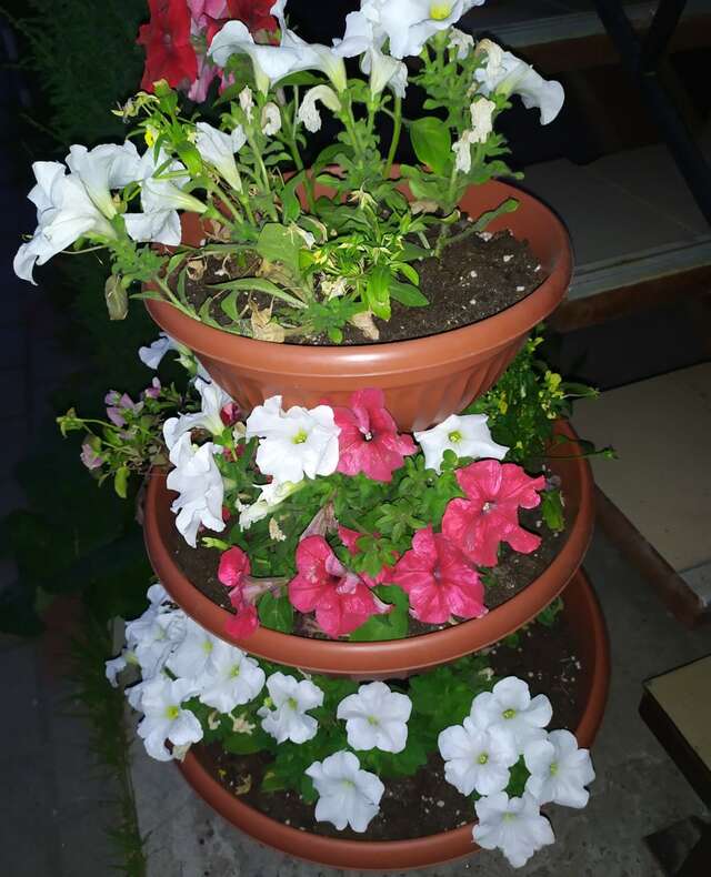 Гостиница Флогистон Санкт-Петербург-210